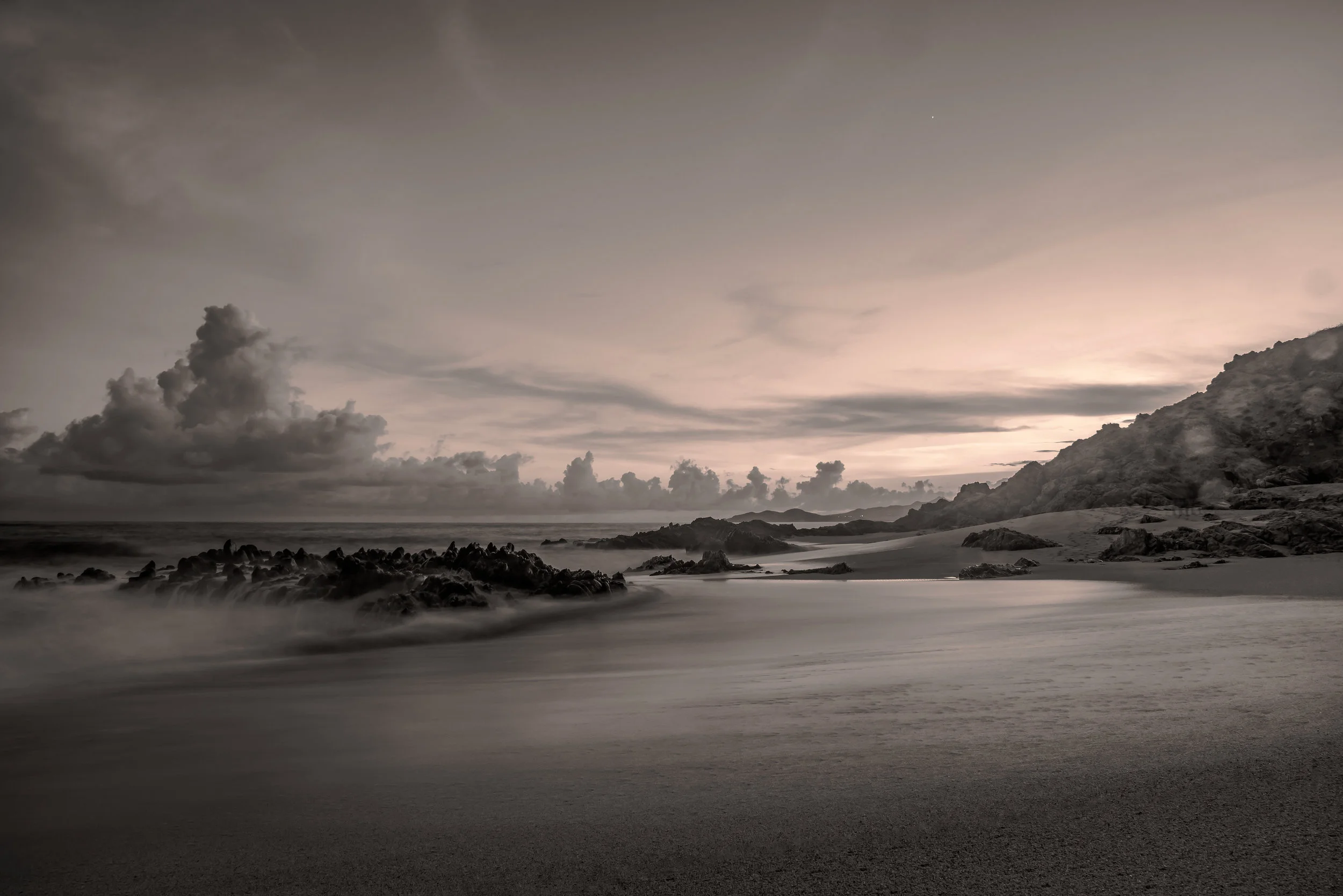 DSC_1246 sepia.jpg