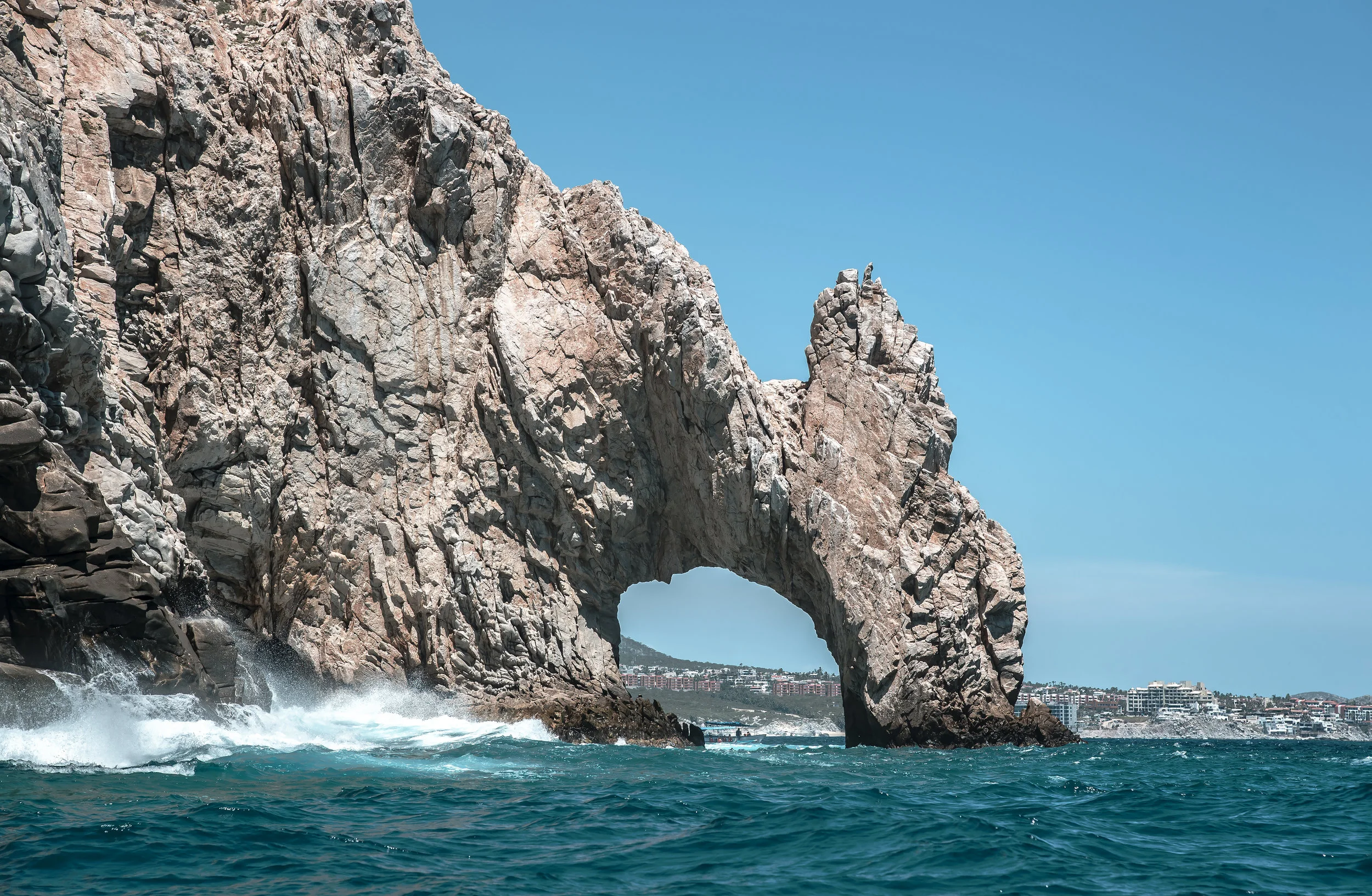 DSC_2263 smaller size.jpg