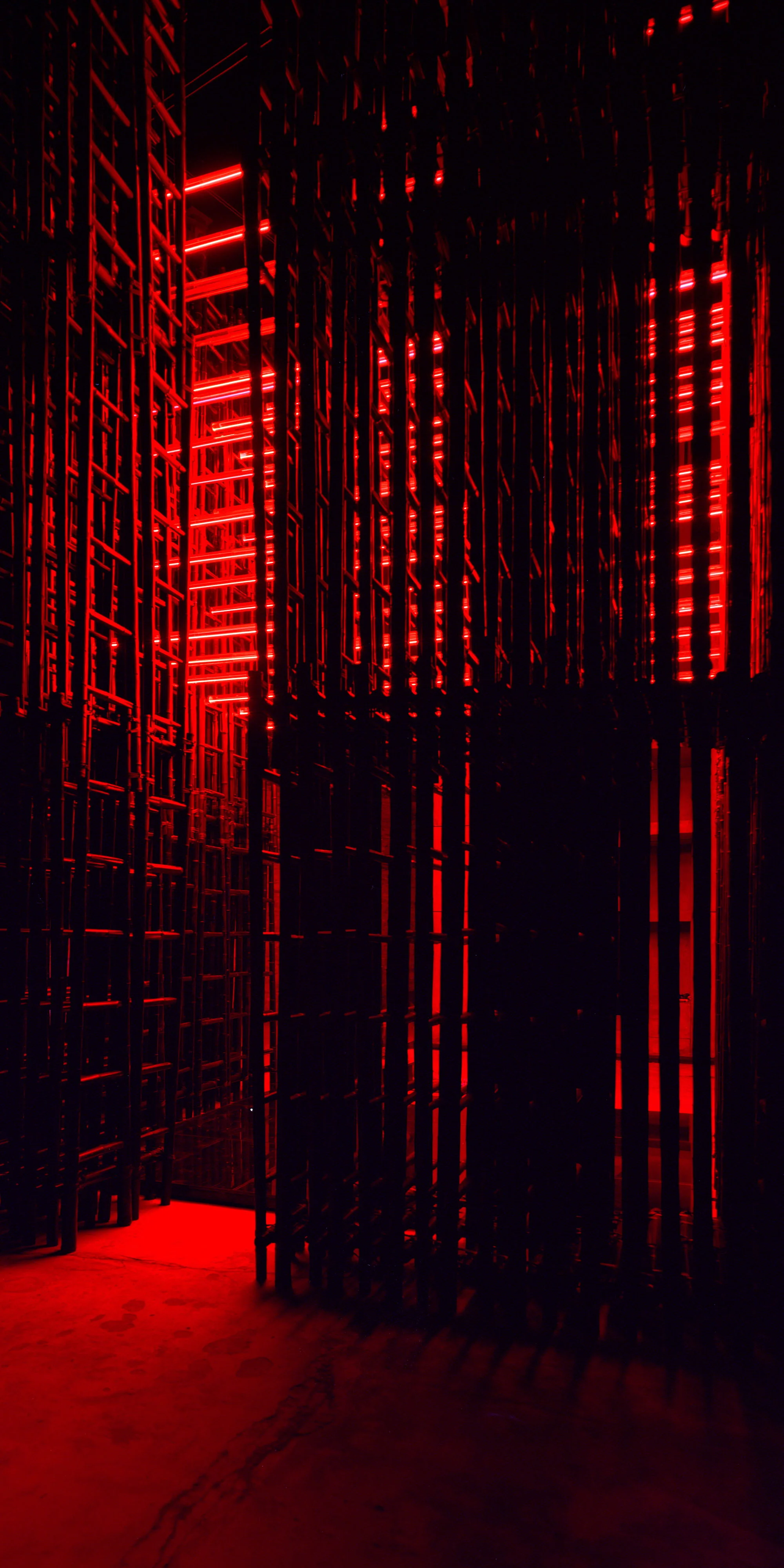 Image-06.jpg