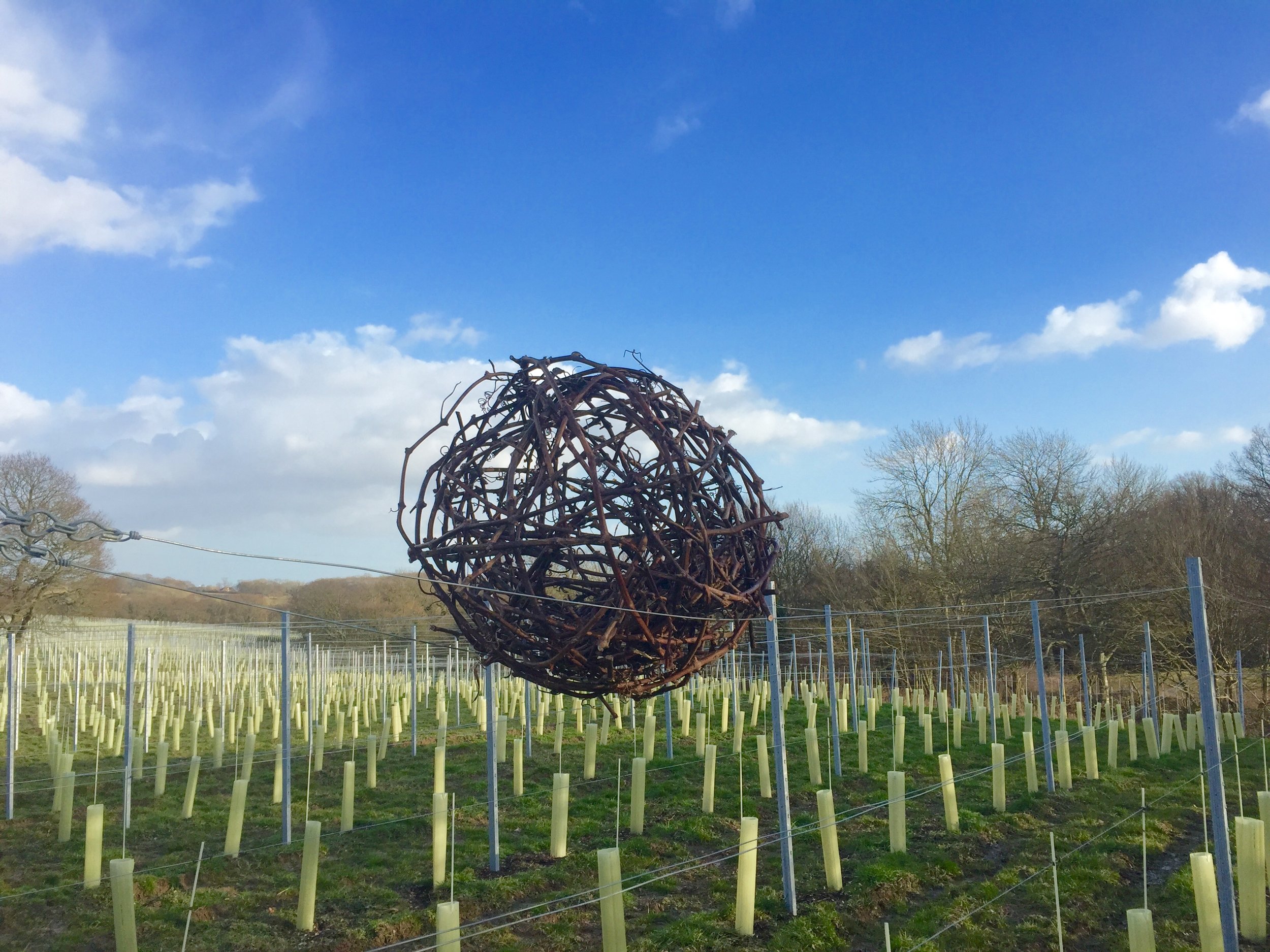 Pruning globe.jpg