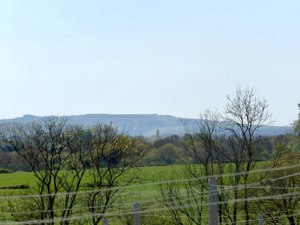 South Downs (2).jpg