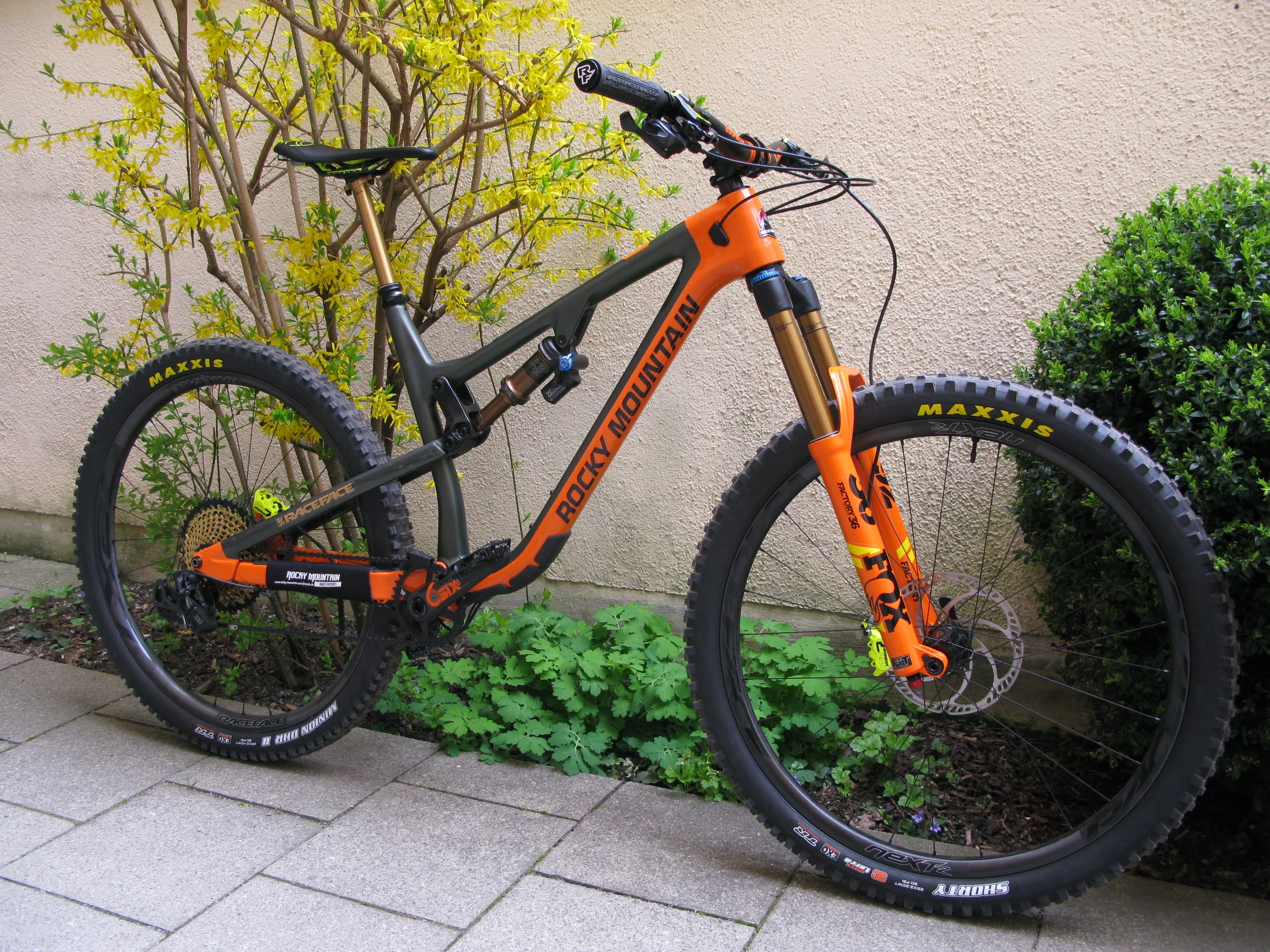 Custom Rocky Mountain