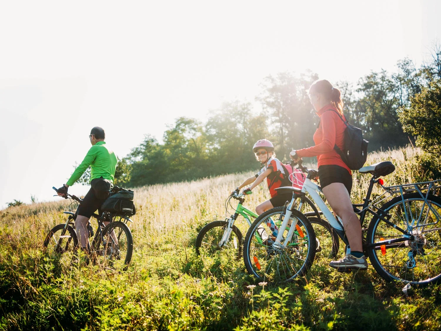 ebikes-1.jpg