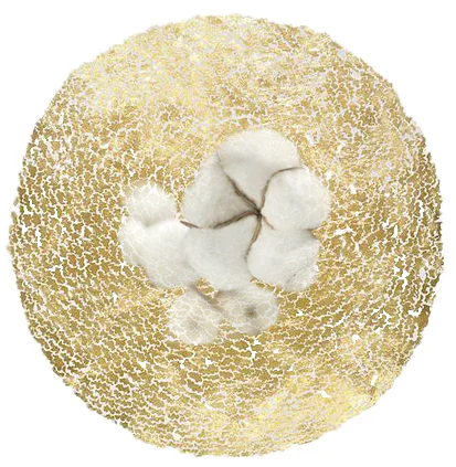 100% Cotton