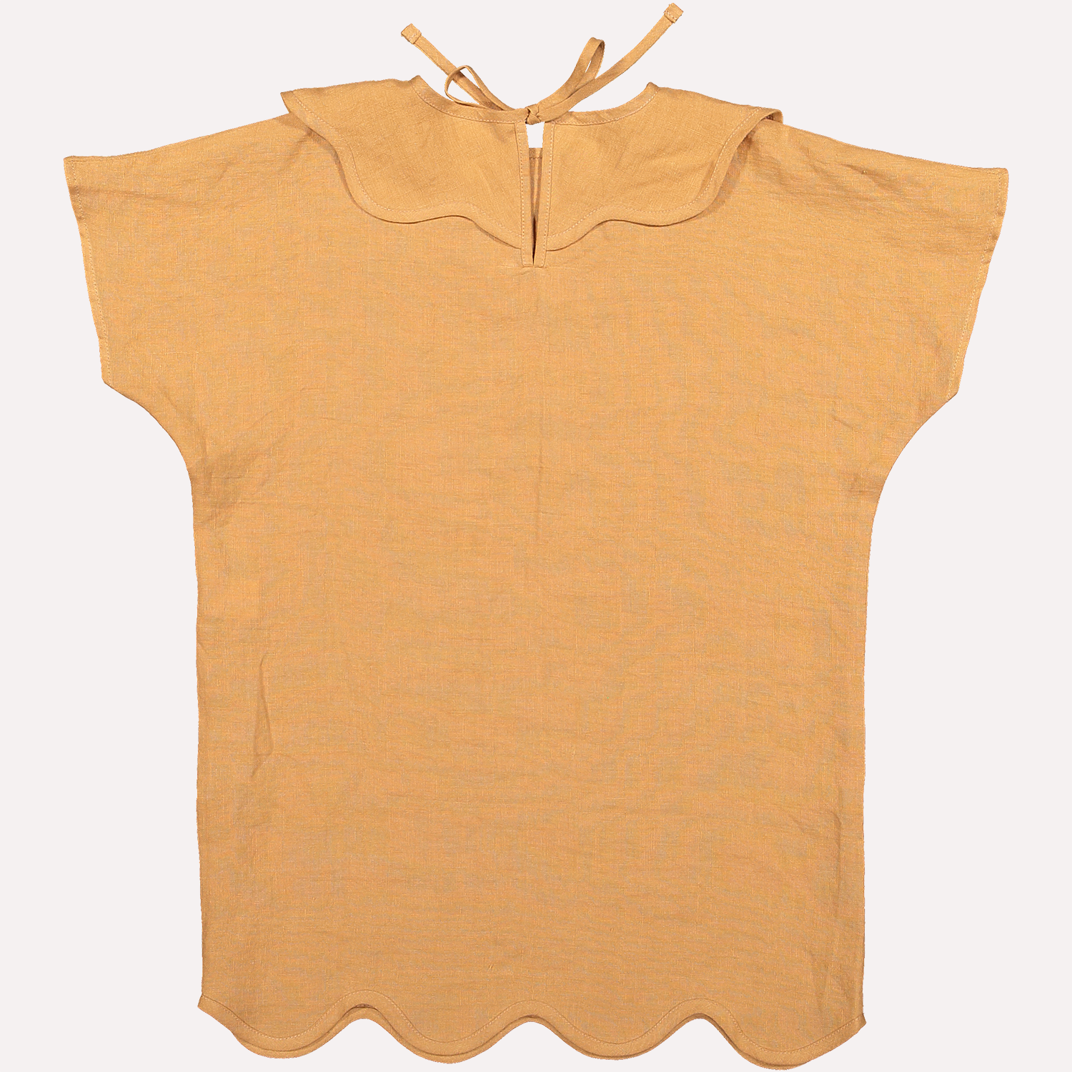 pineaplle dress brick back.png