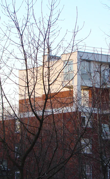 pasichna_1.jpg