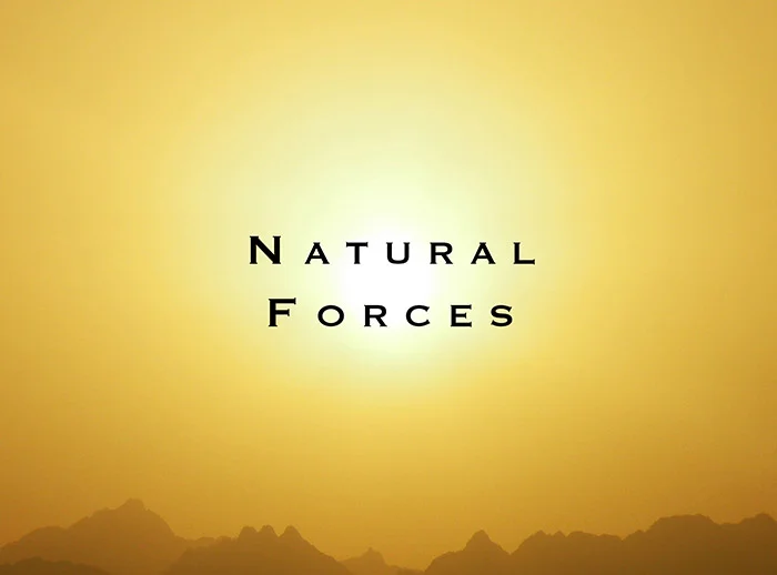 nat_forces.jpg