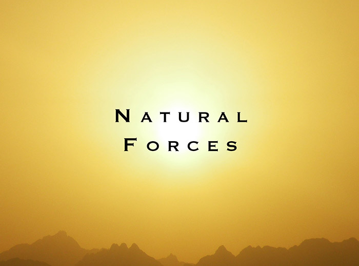Natural Forces: (Feature Film)