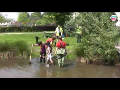 UindeWijk Overvecht Utrecht Nieuwe waterplanten in vijver park de Gagel