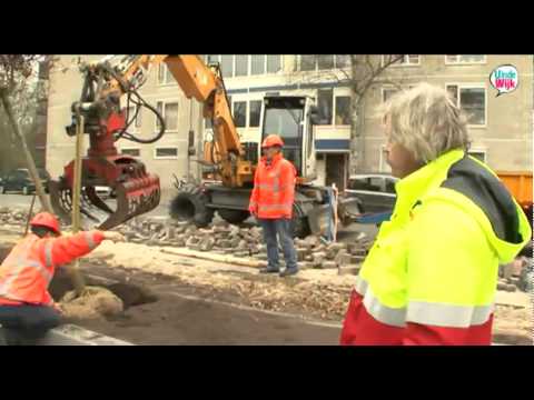 Niet levensvatbare bomen worden vervangen.mp4