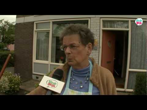 uindewijk Overvecht Utrecht boomspiegels