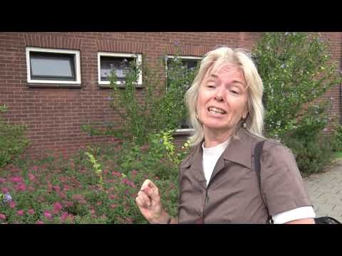 De onmaatschappelijken Deel I