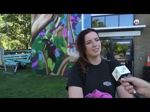 Kunst op de gevel Vulcanusdreef