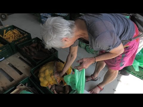 Operation food freedom