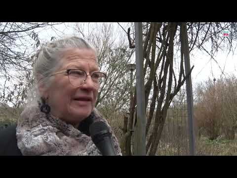 Standplaats Griftpark - ontstaansgeschiedenis