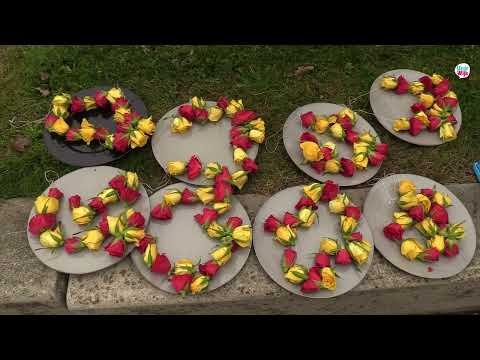 Dag van geweldloosheid