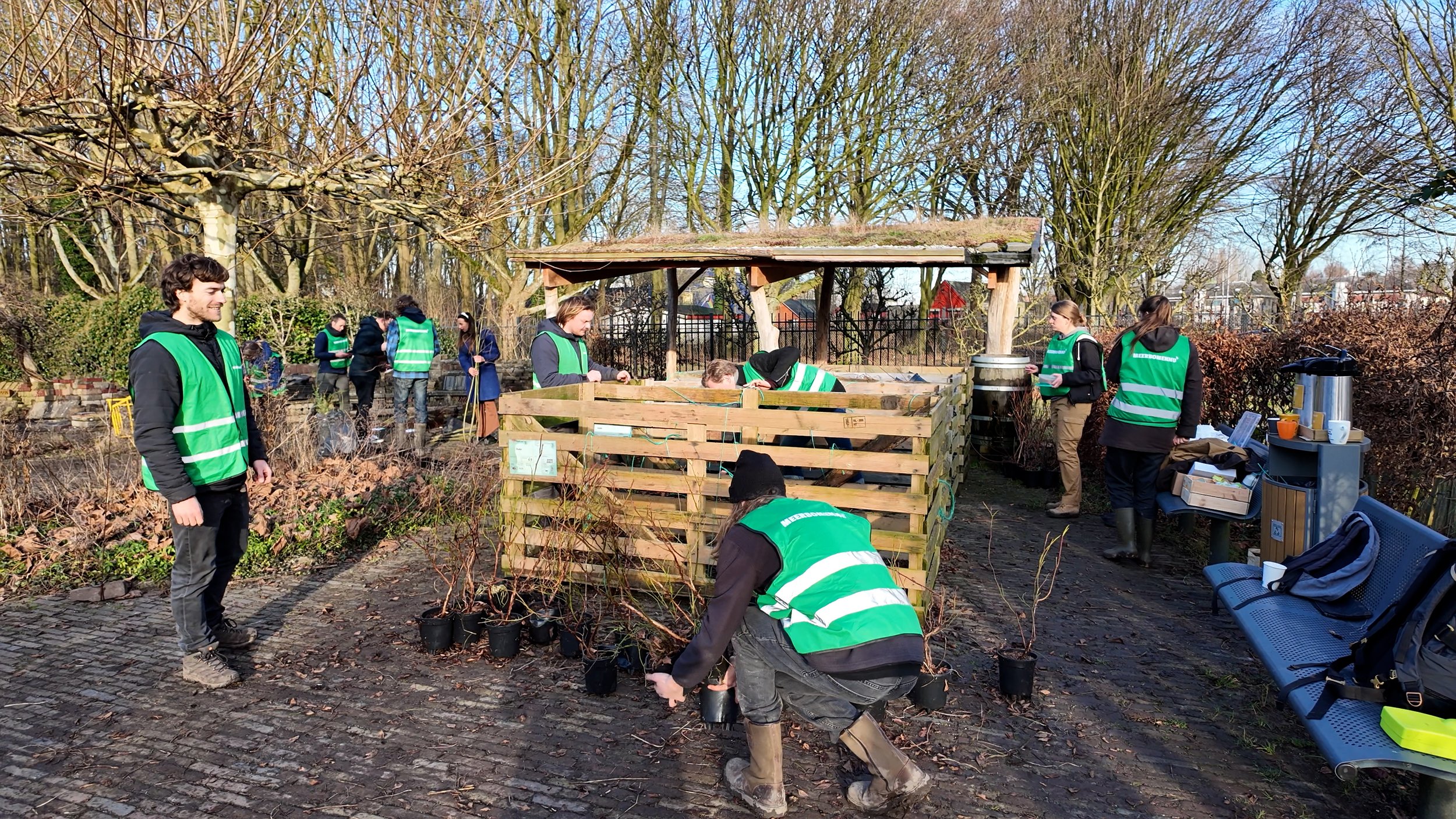 MeerBomenNu - Bomen en struiken voor een tweede kans