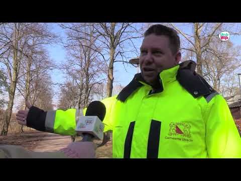 Park Transwijk krijgt kleur