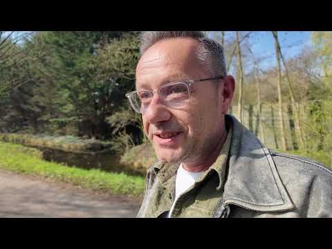Bosuilen in Overvecht