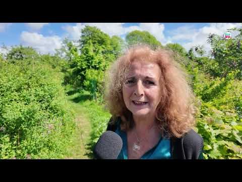 De tuin van 40 jaar - Een groene geschiedenis