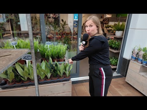 Straatsafari: Kanaleneiland op de schop
