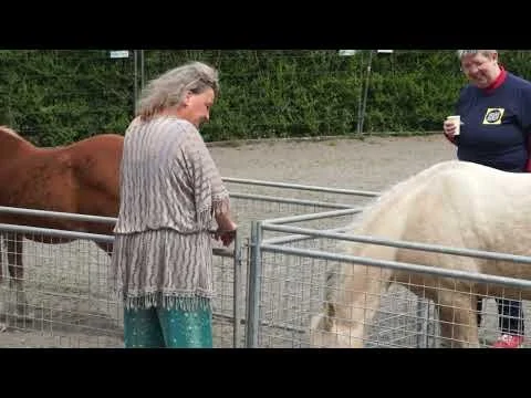 Pony's en Haiku's: Een dagje mee met Dineke