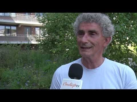 Een zachte bloeiende, groene oase: Gemeenschappelijke tuin in Pijlsweerd