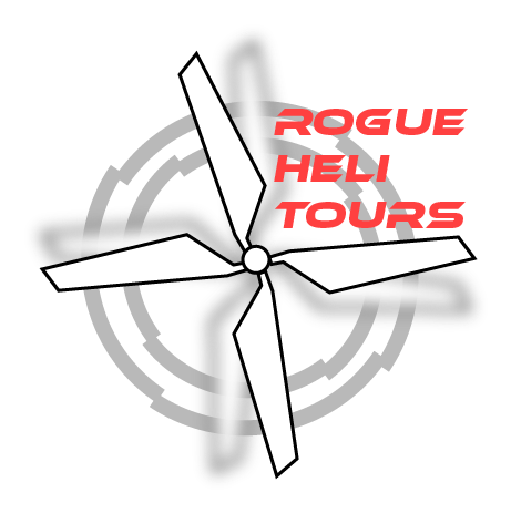 Logo featuring a stylized wind turbine with four blades and a globe in the background, with red text reading "RC HELI 1/4".