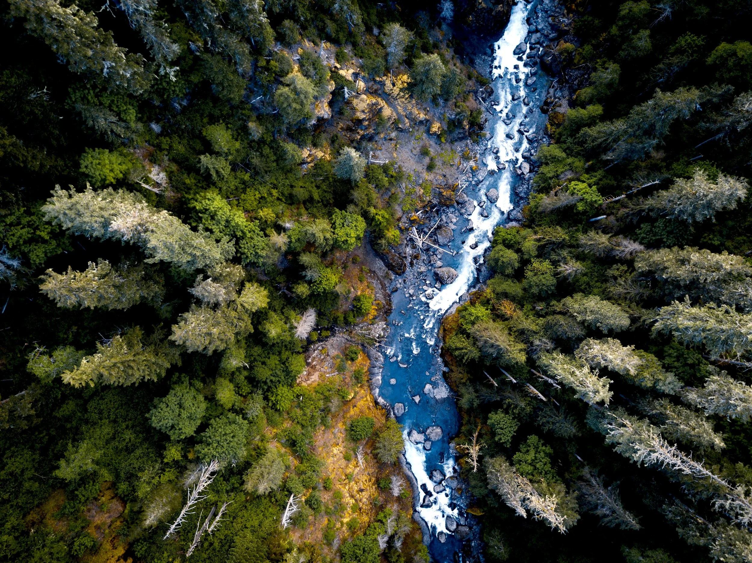 Oregon-Heli-Tours.jpg