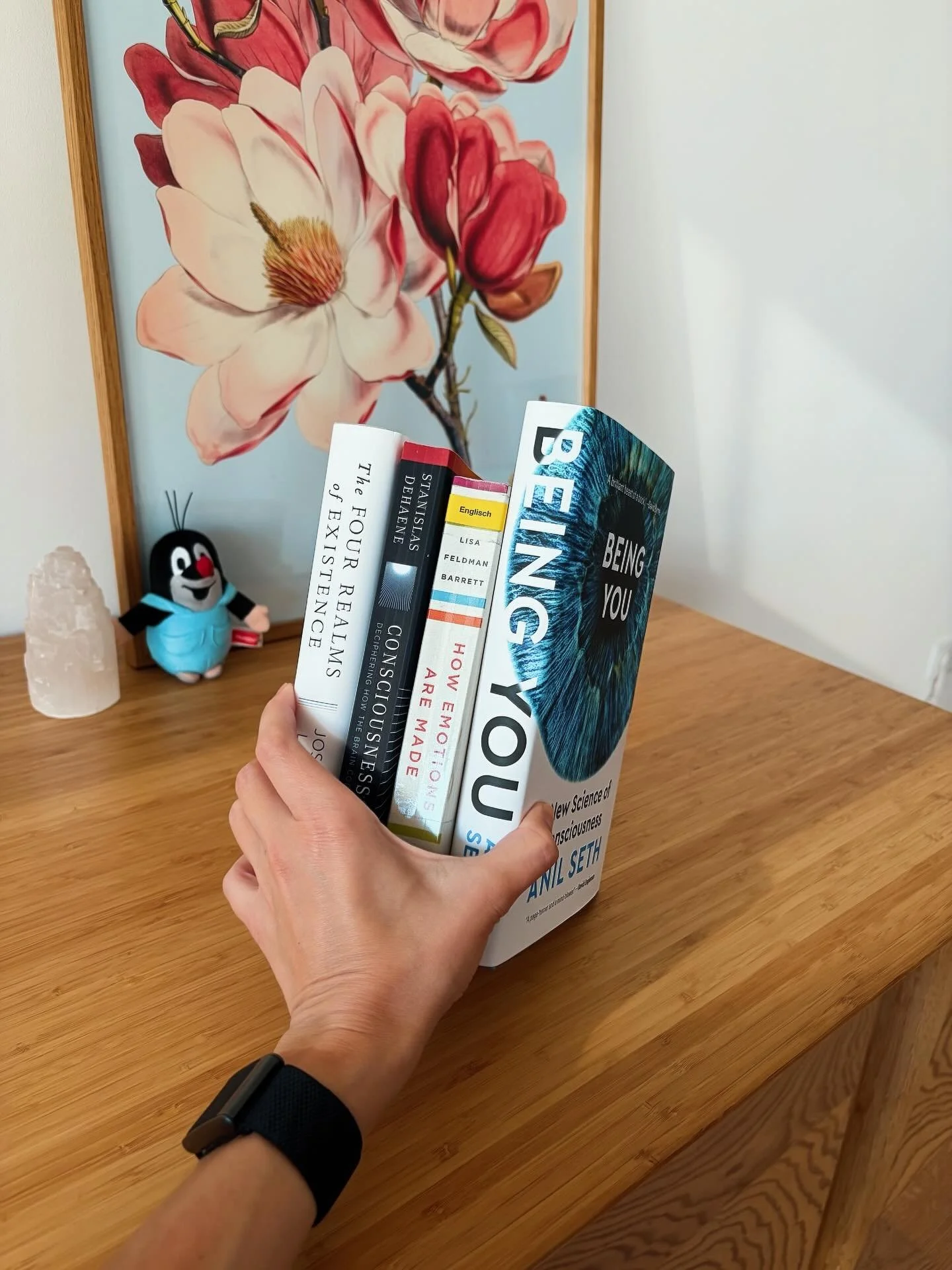 Делюсь свои reading листом на следующие месяцы! 

Все эти книги о том, как современная нейронаука пытается понять сознание, эмоции, о том, как мозг формирует наш субъективный опыт реальности.

Некоторые из этих книг вышли уже давно (Dehaene в 2014-ом