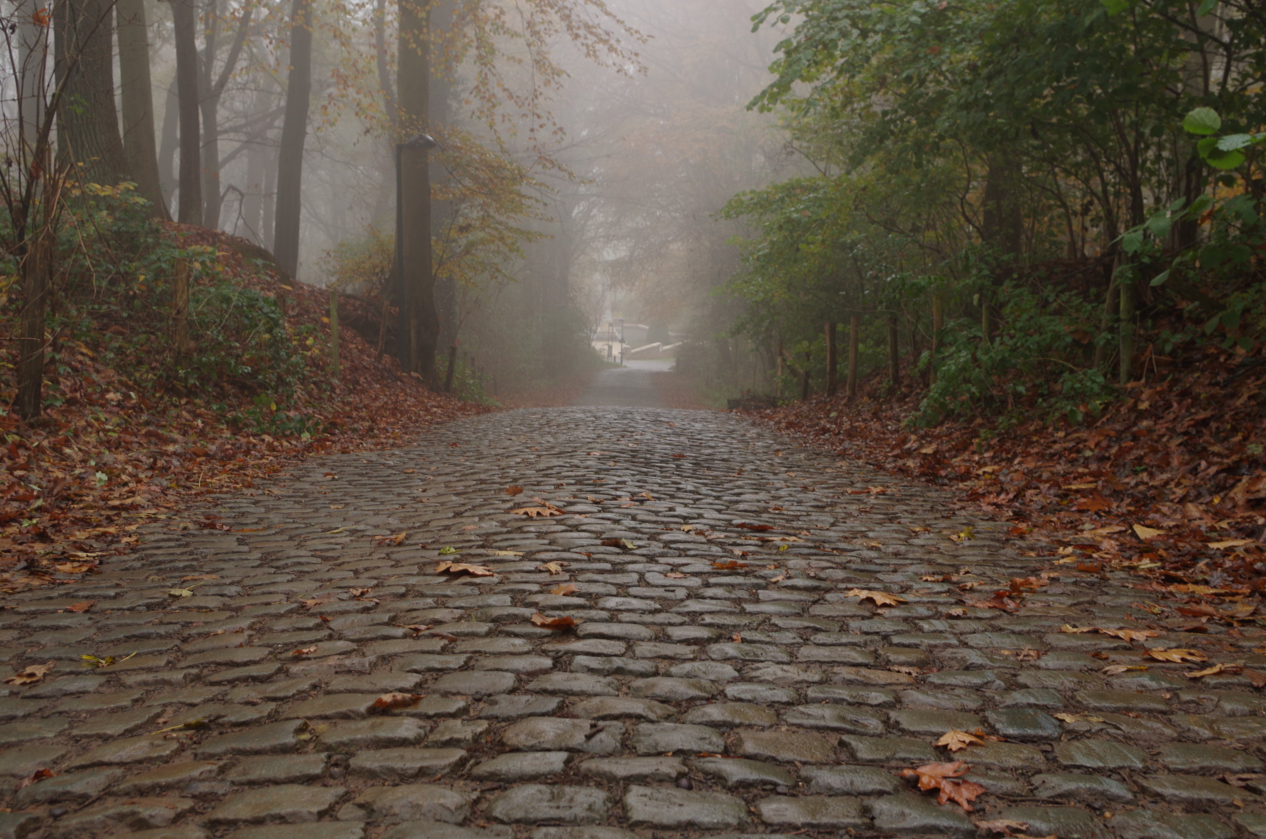 Stage 2 Description Image.JPG