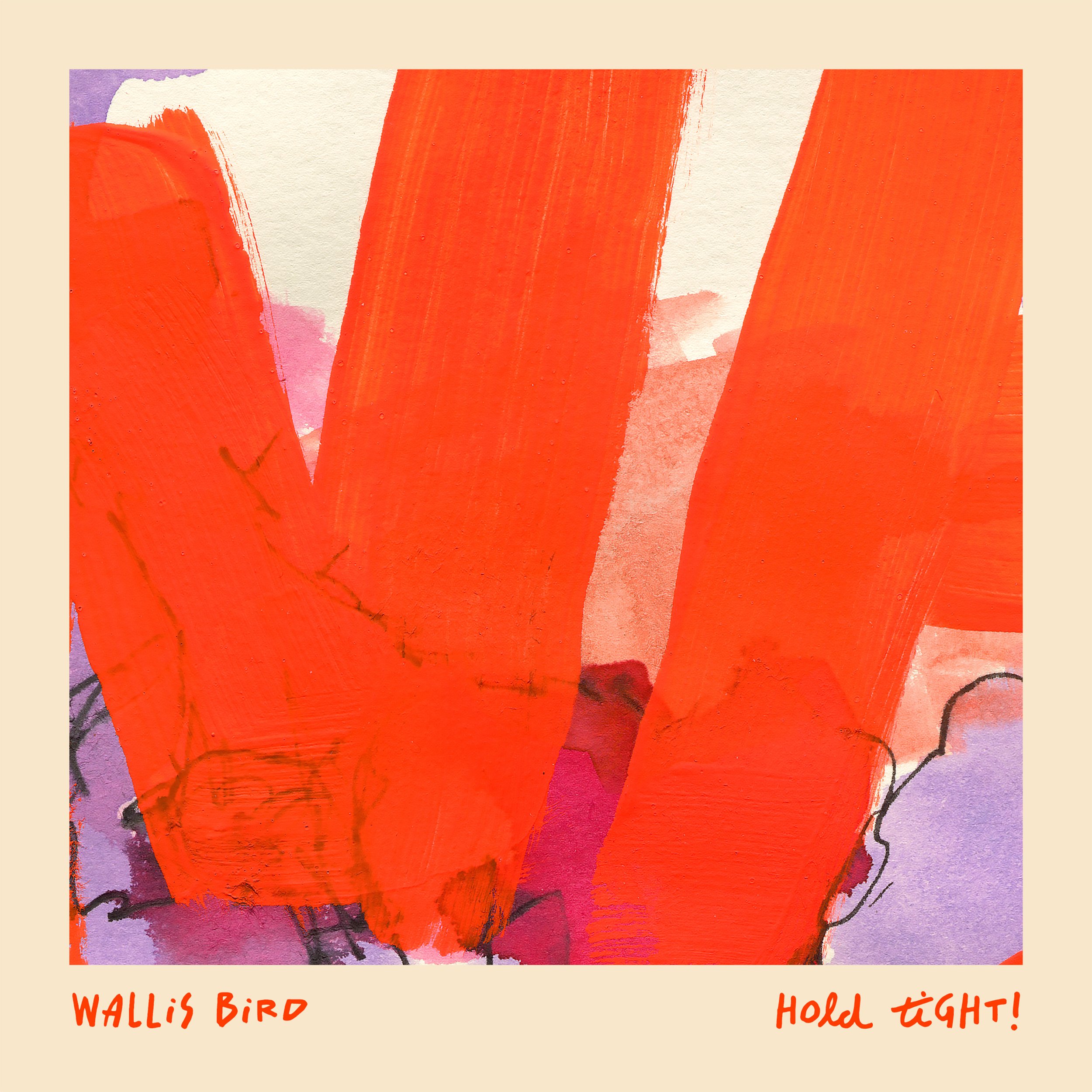 Hold Tight! - New Release by Wallis Bird