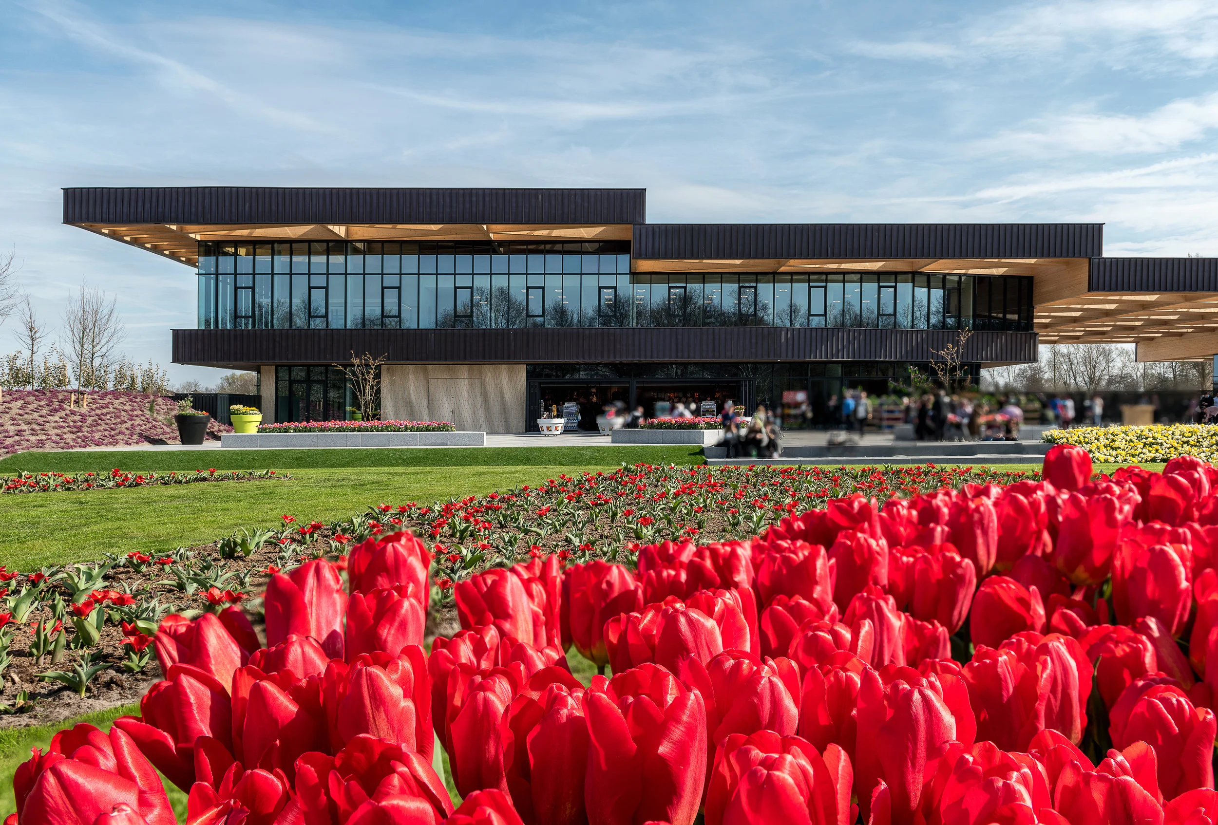 Keukenhof-1.jpg