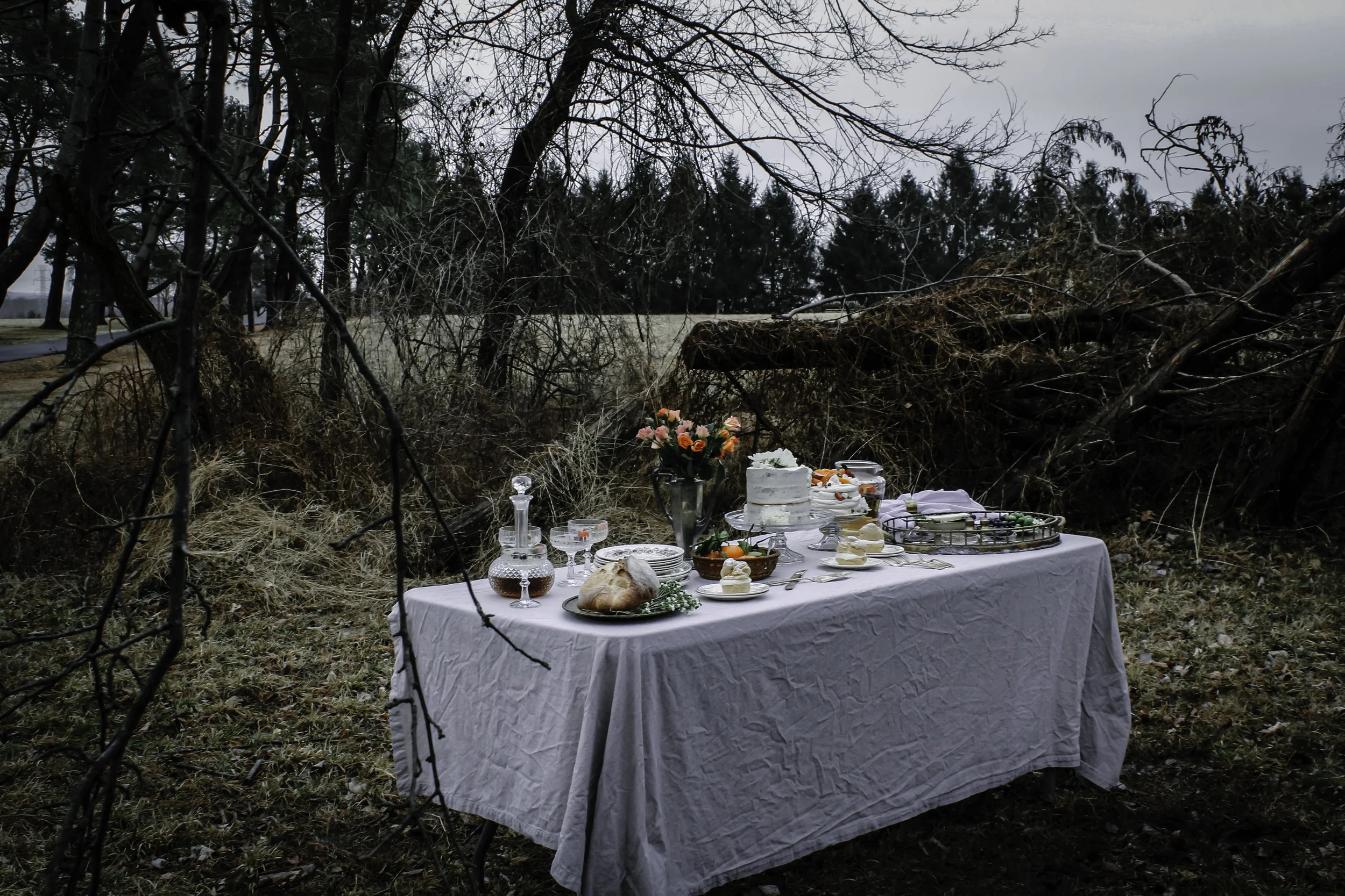 Picnic 2.jpg
