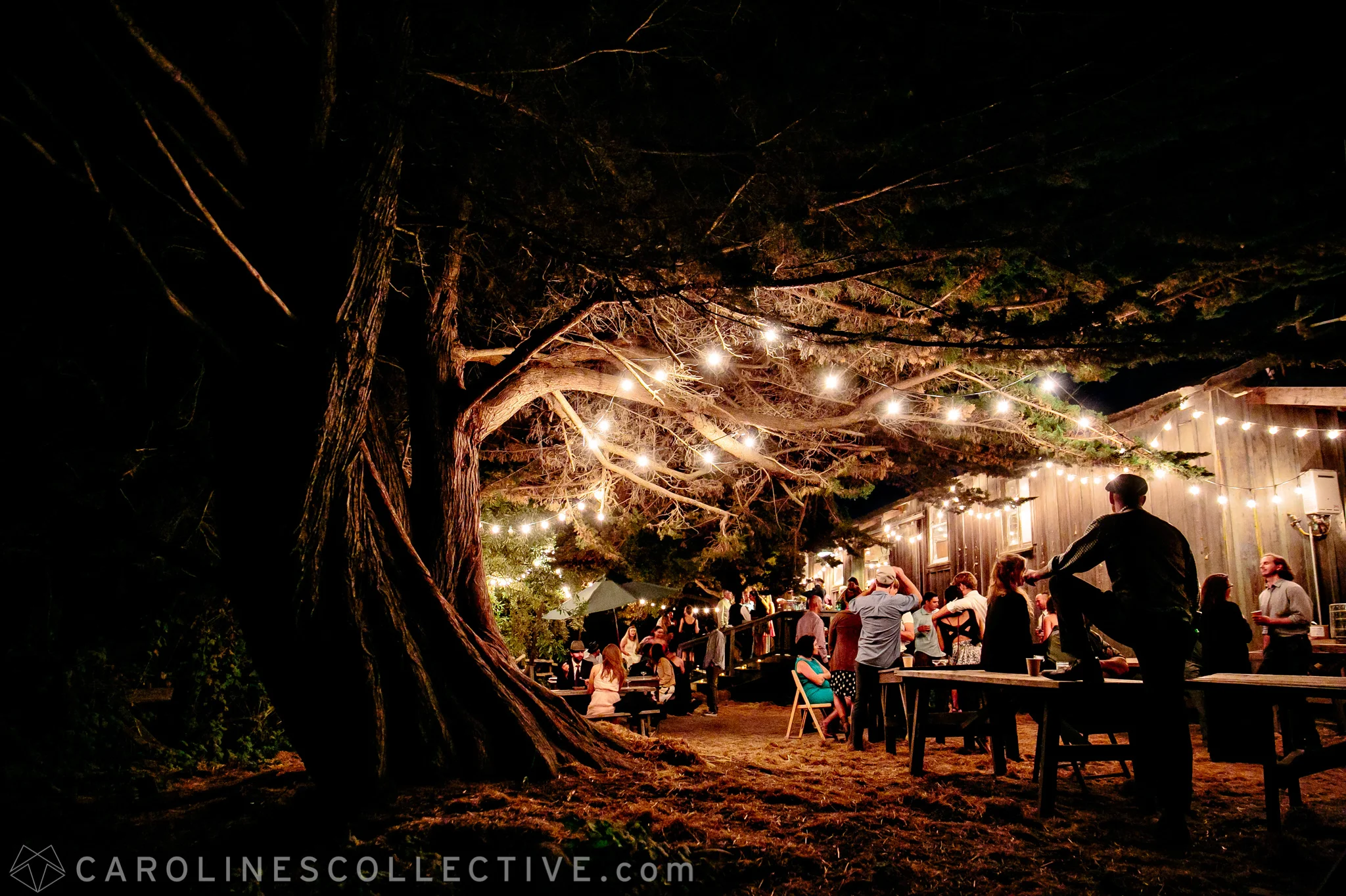 Site Rentals and Weddings — Pie Ranch