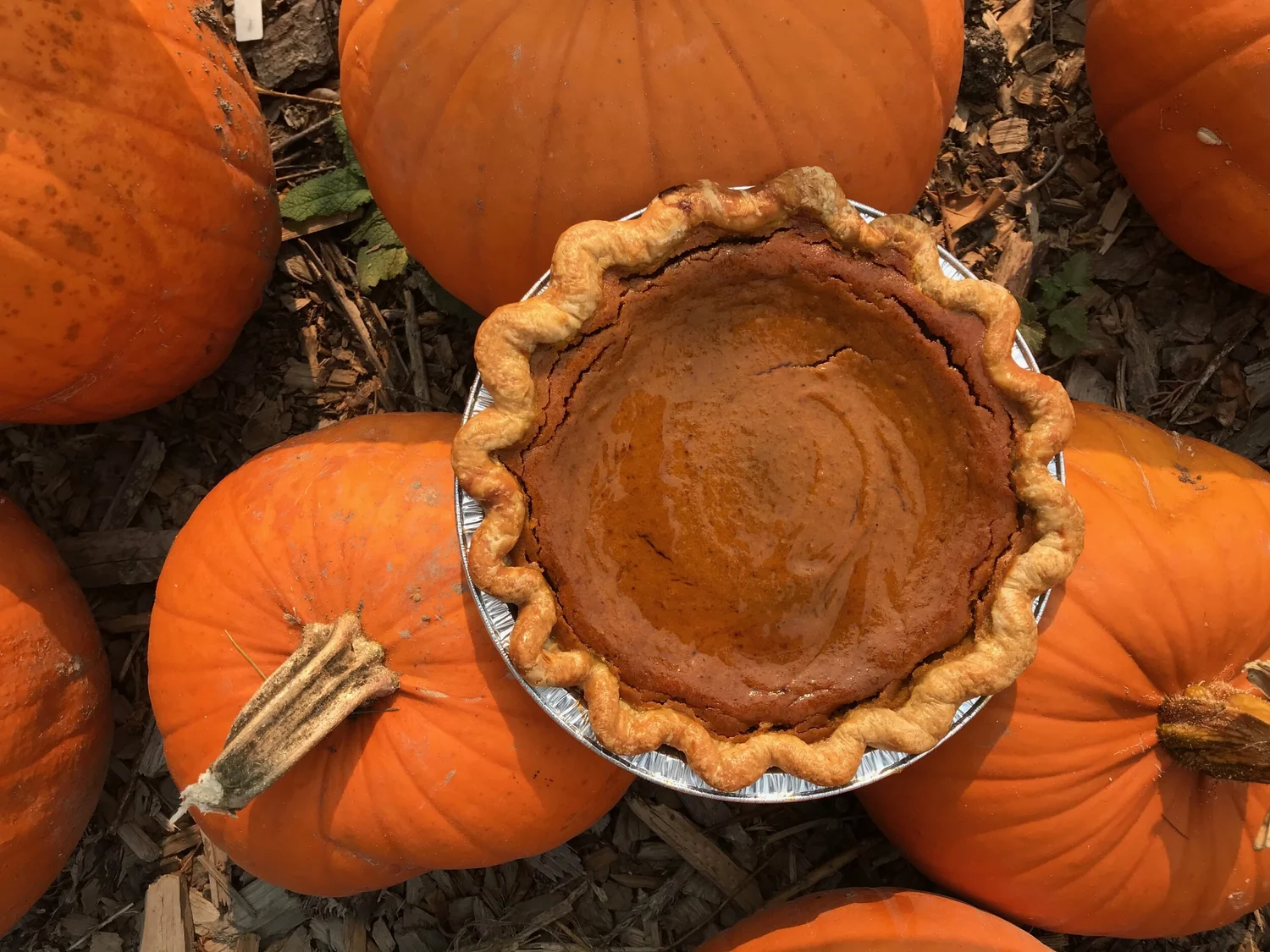 Farmstand — Pie Ranch