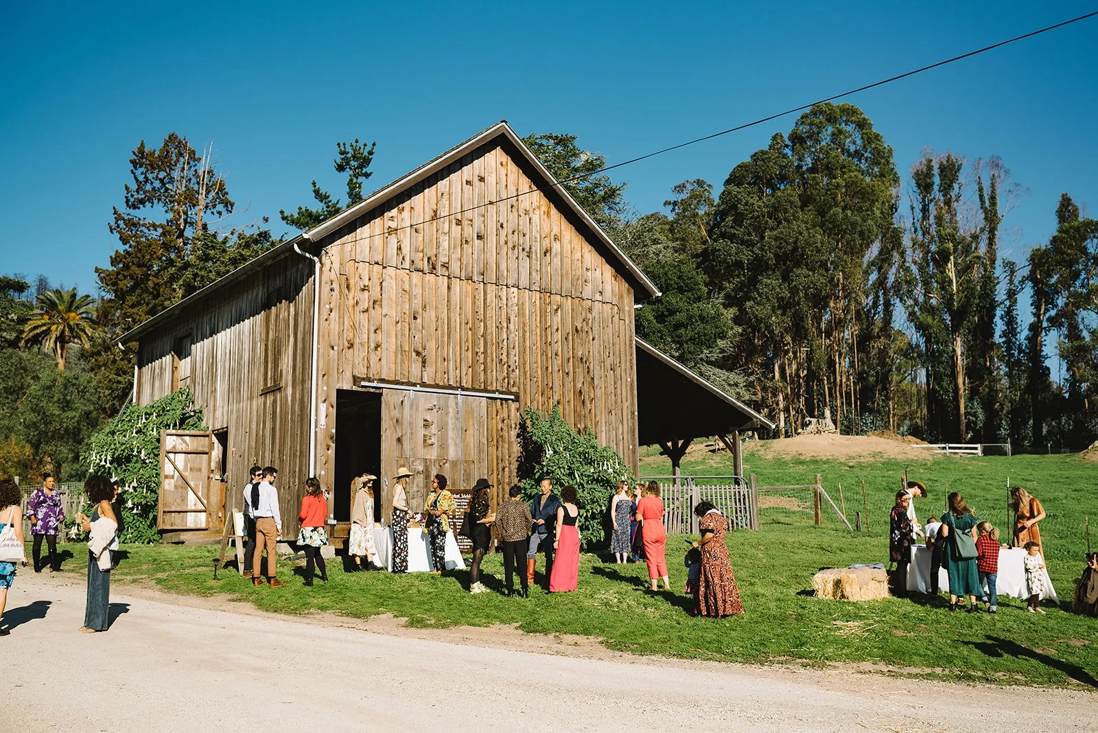Site Rentals and Weddings — Pie Ranch