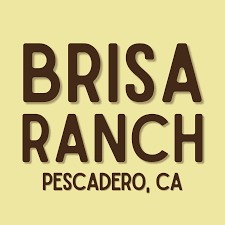brisa ranch logo.png