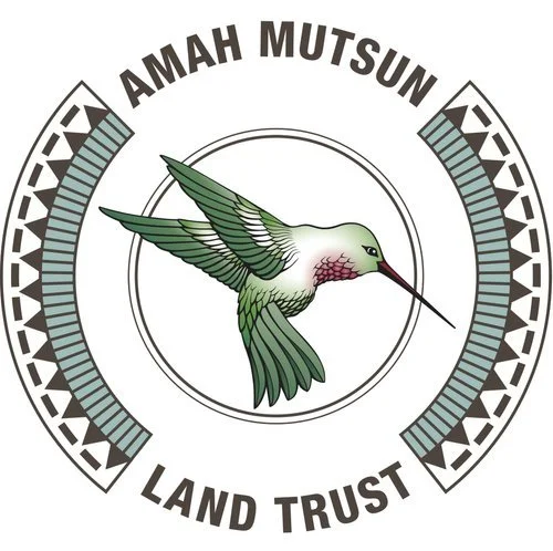 amlt-logo.jpeg