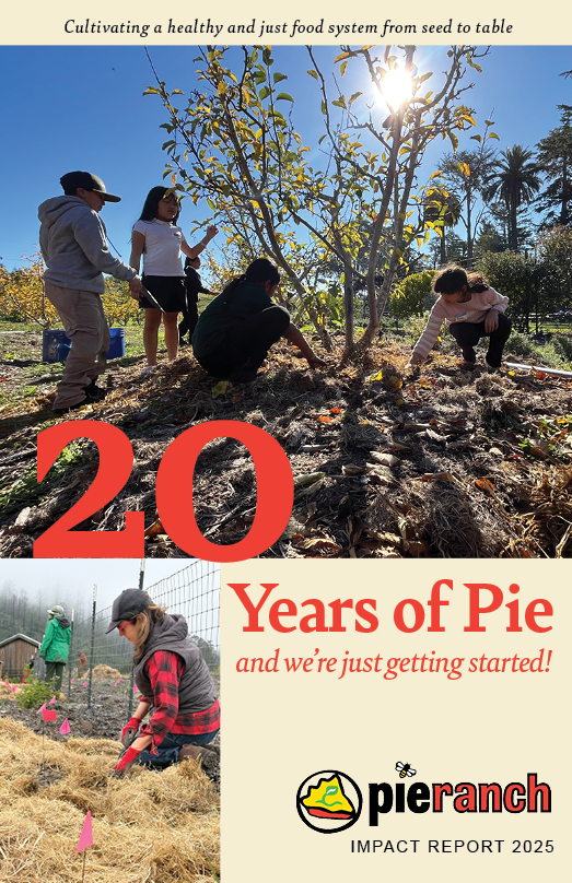 Impact Report 2025.png