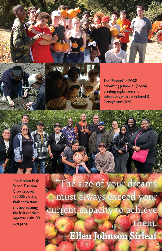 Impact Report 20252.png