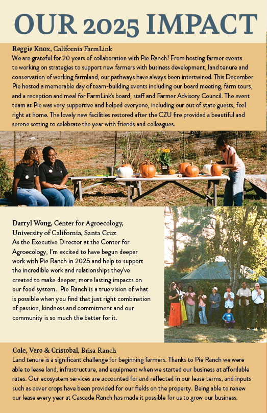 Impact Report 20256.png