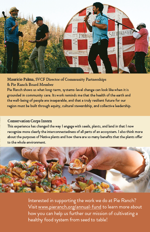 Impact Report 20257.png