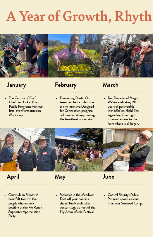 Impact Report 20258.png