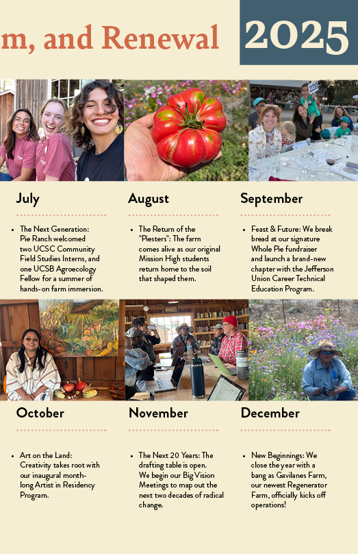 Impact Report 20259.png