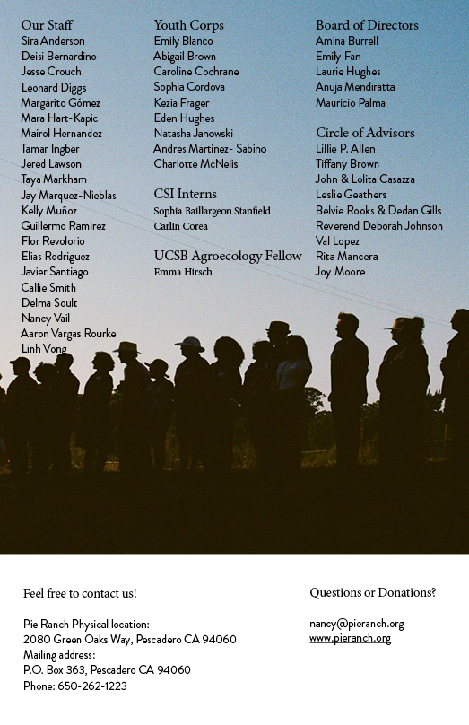 Impact Report 202516.png