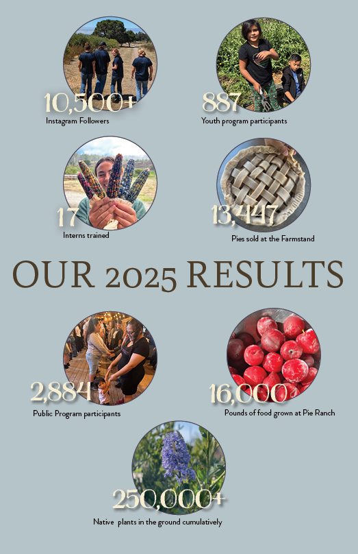 Impact Report 2025.latest.211.png