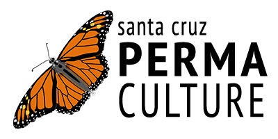 SCP-Logo-400x200-transparent.webp