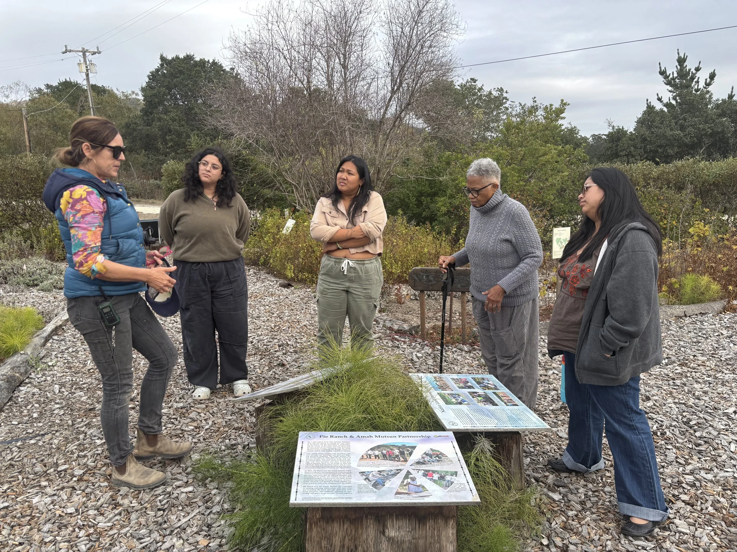 Artist Residency Program
