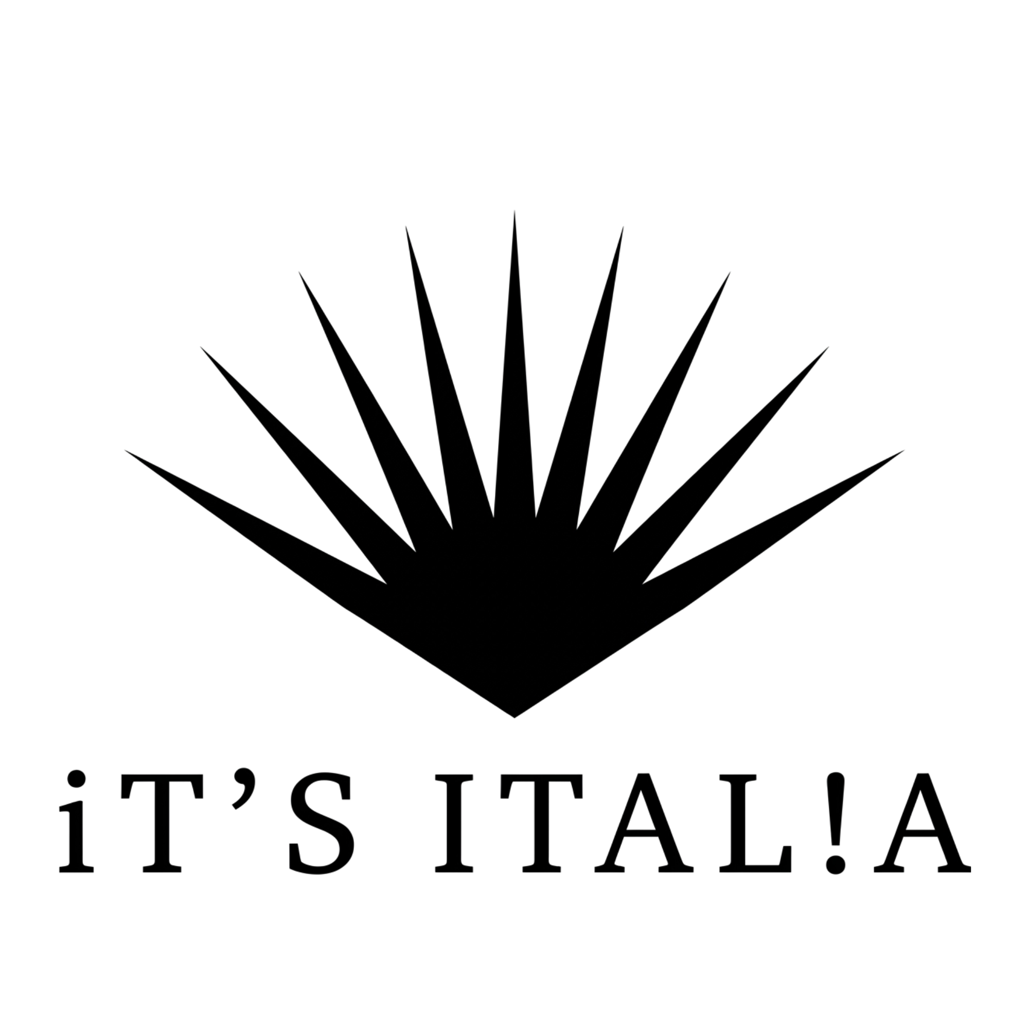 Black Logo Variant.png